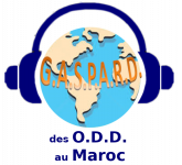 gallery/LogoGaspardMediasODD_MarocVD